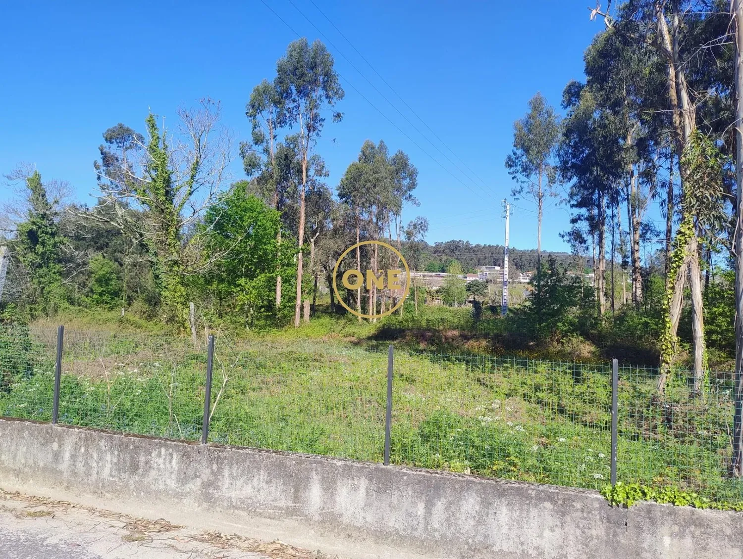 Large plot of land in Turiz - Vila Verde - 3