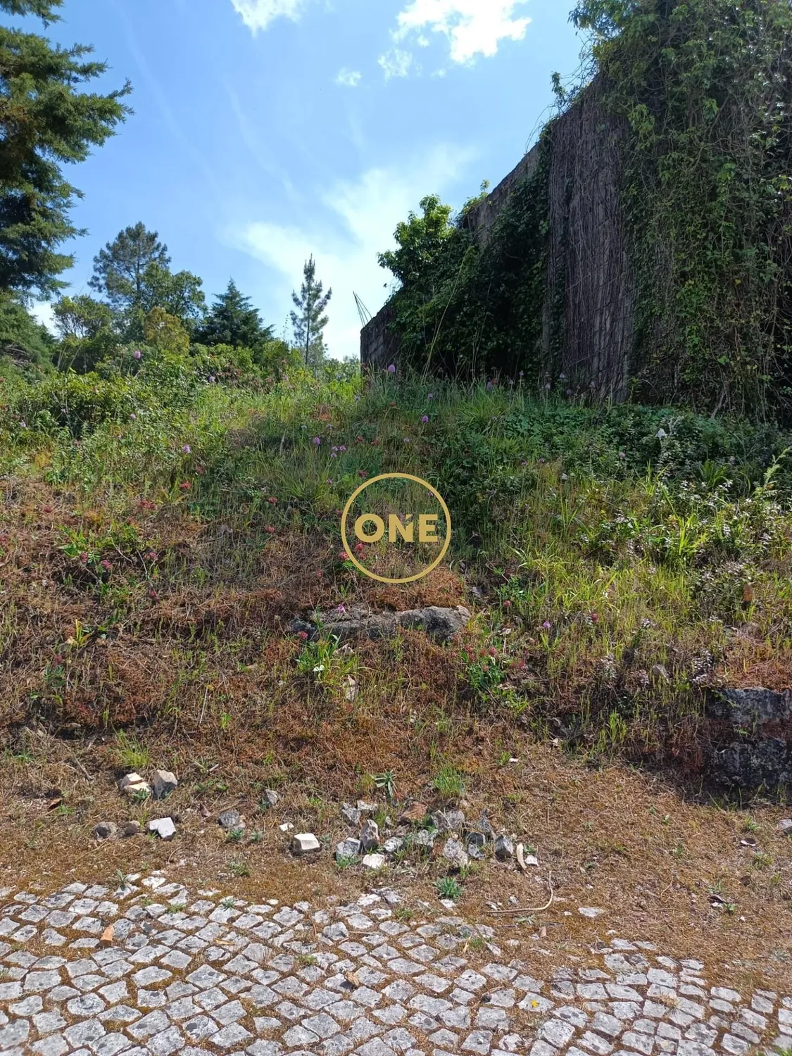 Opportunité unique ! Grand terrain constructible à Coimbra - 2