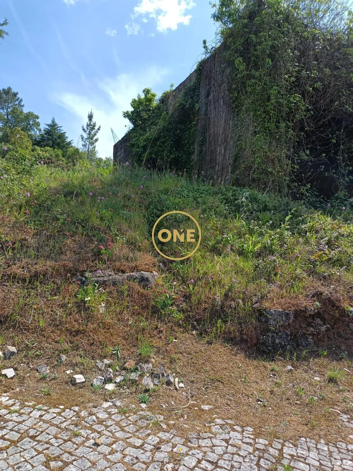 Opportunité unique ! Grand terrain constructible à Coimbra - 3