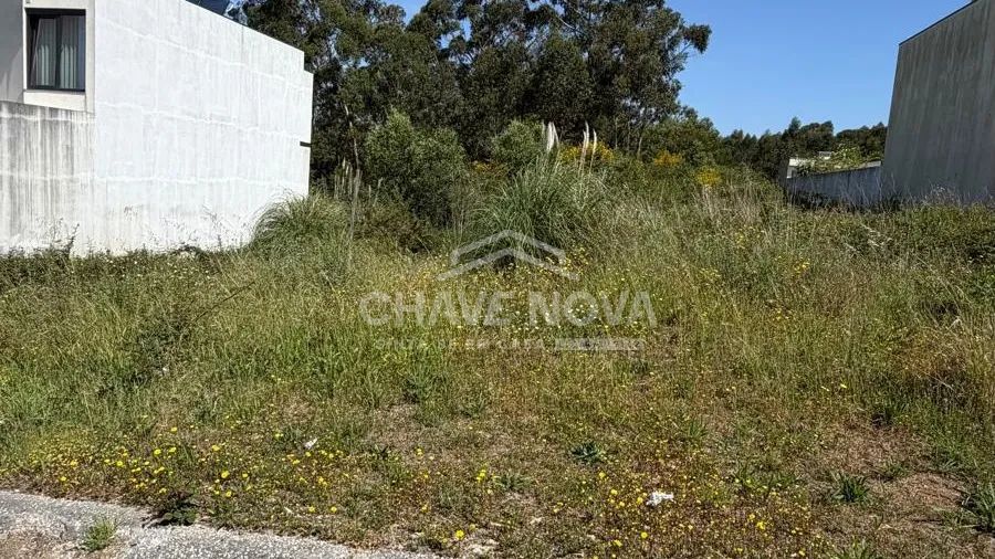Lote para construção de moradia em Lourosa - 2