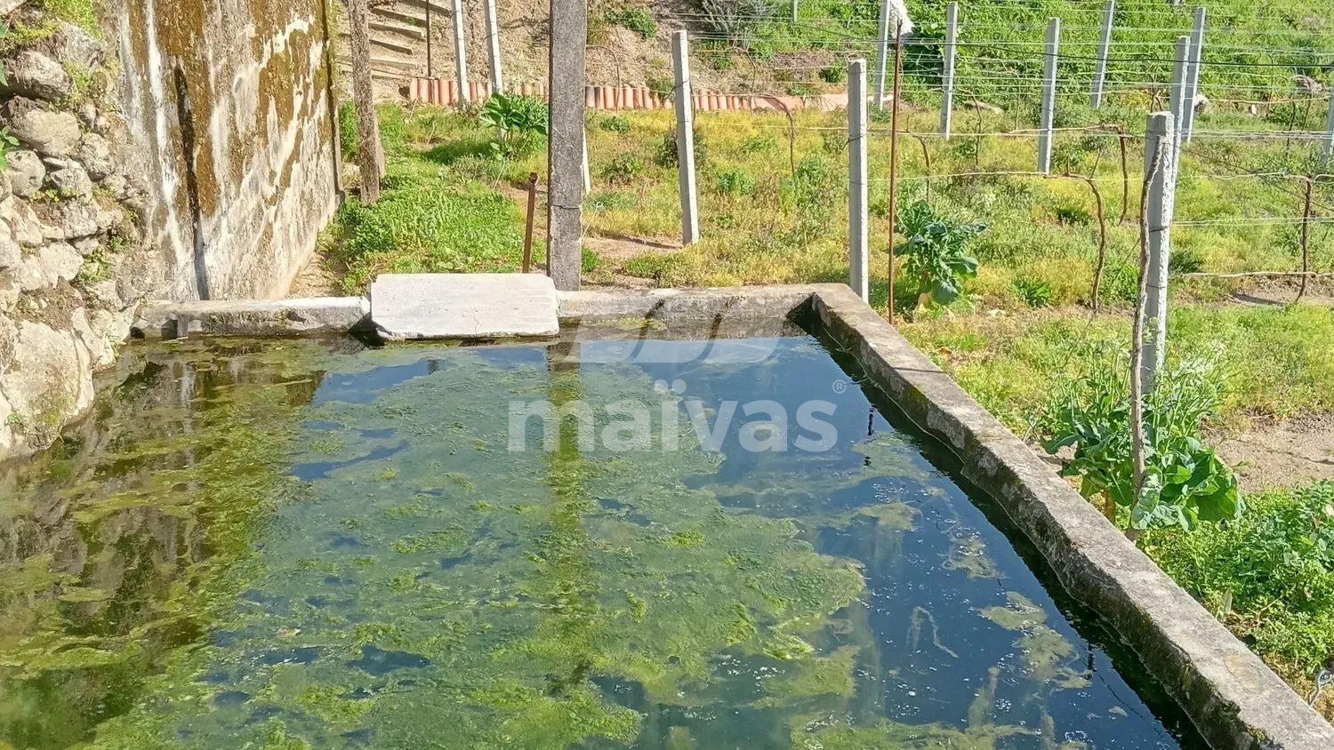 Excelente oportunidade na Margem do Rio Vade! - 3