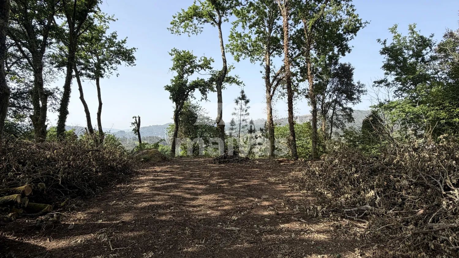 Terreno para venda com Vista Rio Lima Ponte da Barca | Próximo do PNPG 
