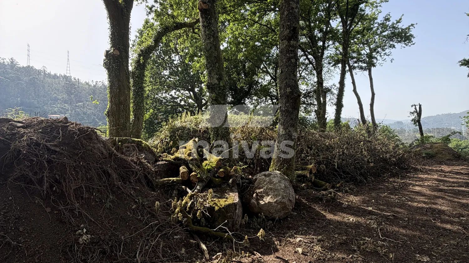 Terreno para venda com Vista Rio Lima Ponte da Barca | Próximo do PNPG  - 2