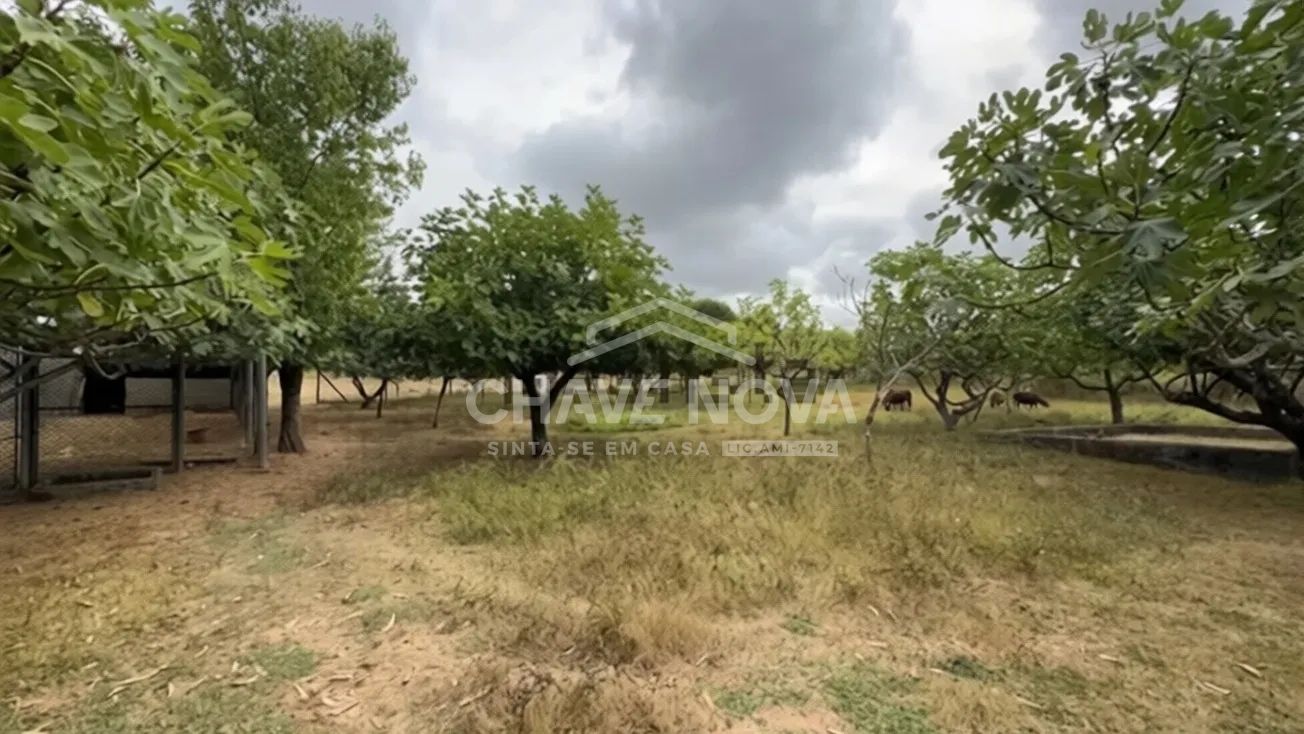 Quinta à venda em Canedo - 3
