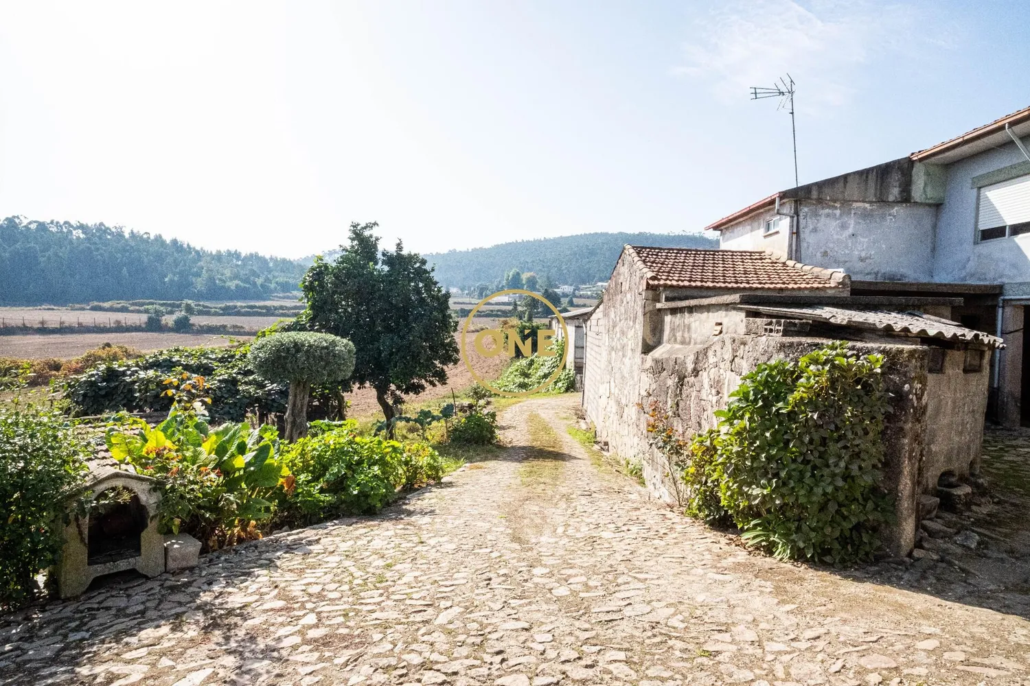 Themed farm with over 30,000 m² in Silveiros – Barcelos