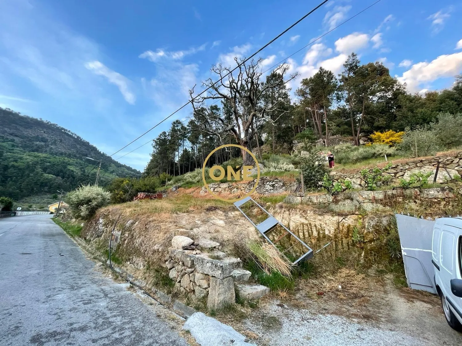 Rustic land measuring 24,900 m², located in Longo / Tabuaças, for sale.