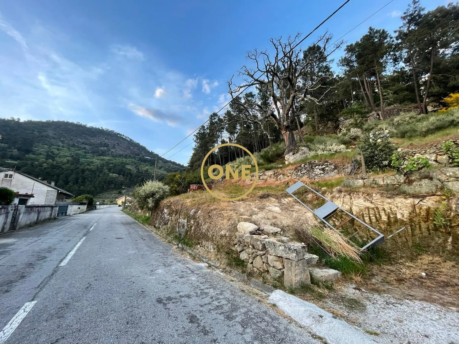 Rustic land measuring 24,900 m², located in Longo / Tabuaças, for sale. - 2