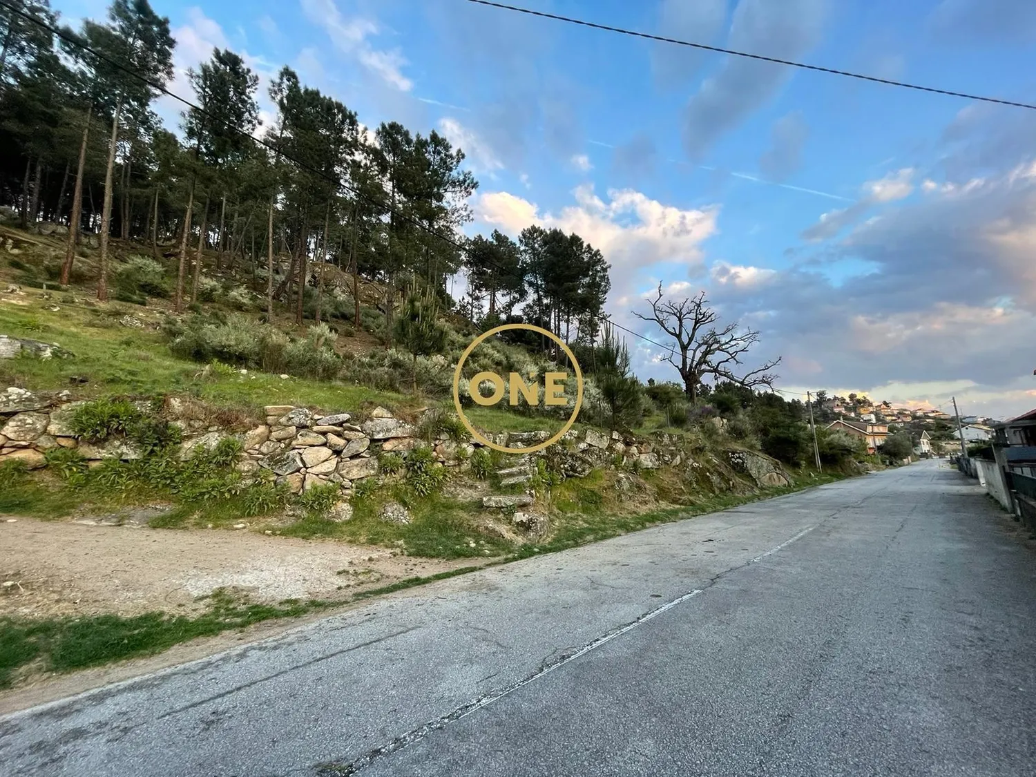 Rustic land measuring 24,900 m², located in Longo / Tabuaças, for sale. - 3