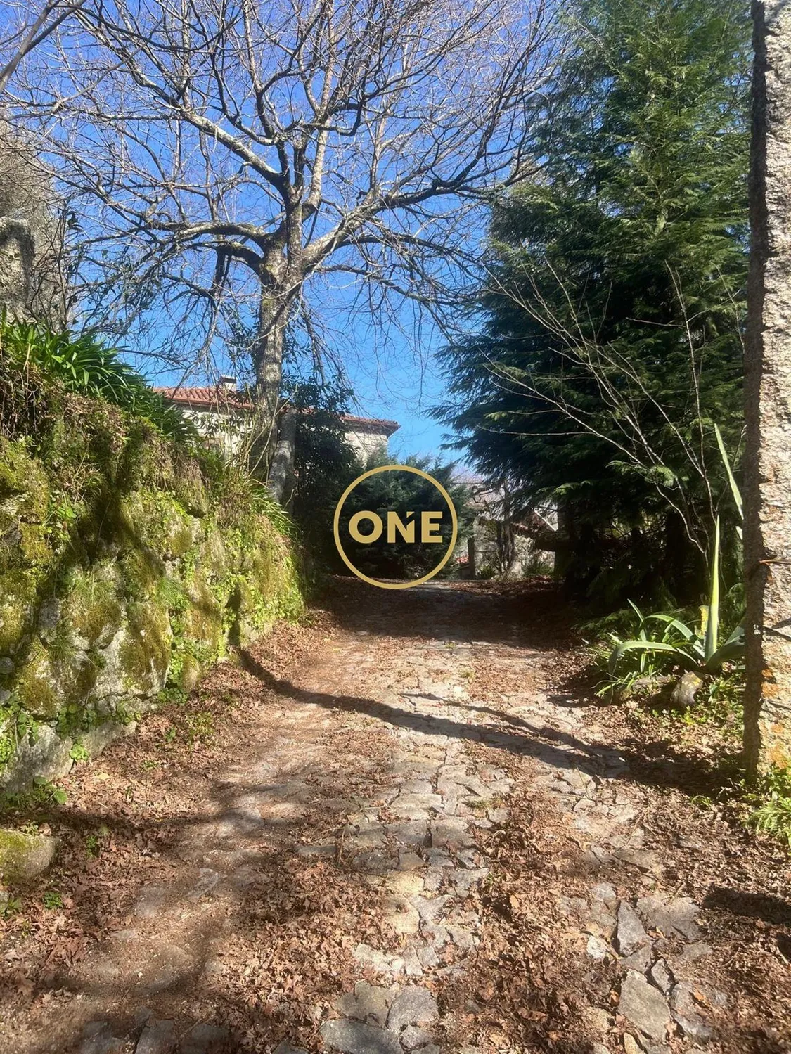 House in Eira Vedra, 2 minutes from Vieira do Minho, set on a plot of 17,799 m² with outbuildings.