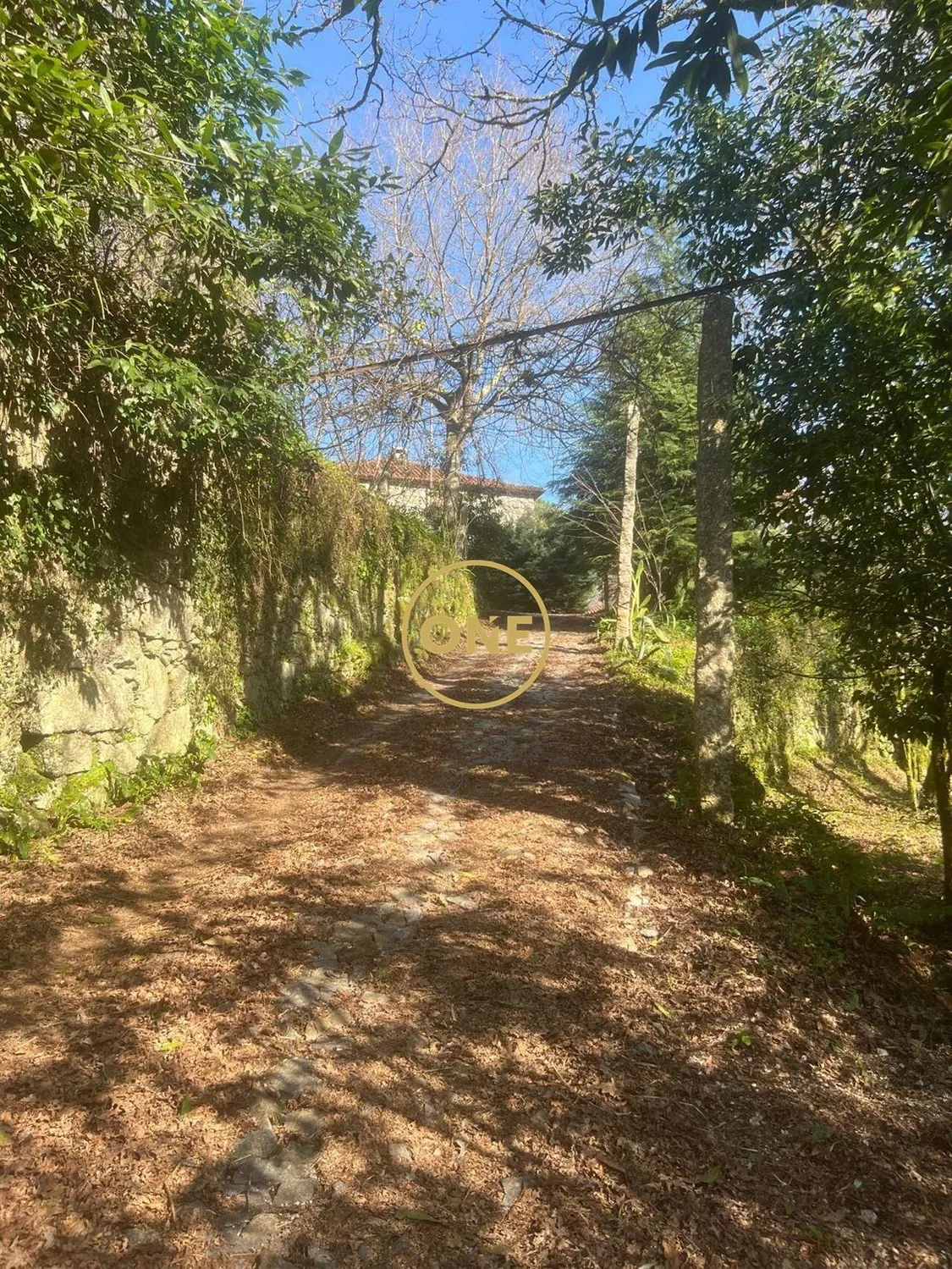 House in Eira Vedra, 2 minutes from Vieira do Minho, set on a plot of 17,799 m² with outbuildings. - 2