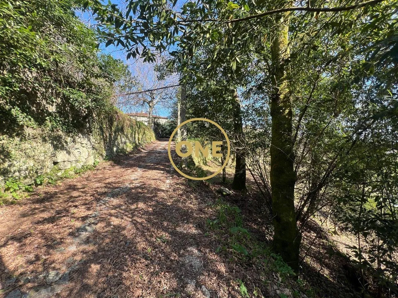 House in Eira Vedra, 2 minutes from Vieira do Minho, set on a plot of 17,799 m² with outbuildings. - 3