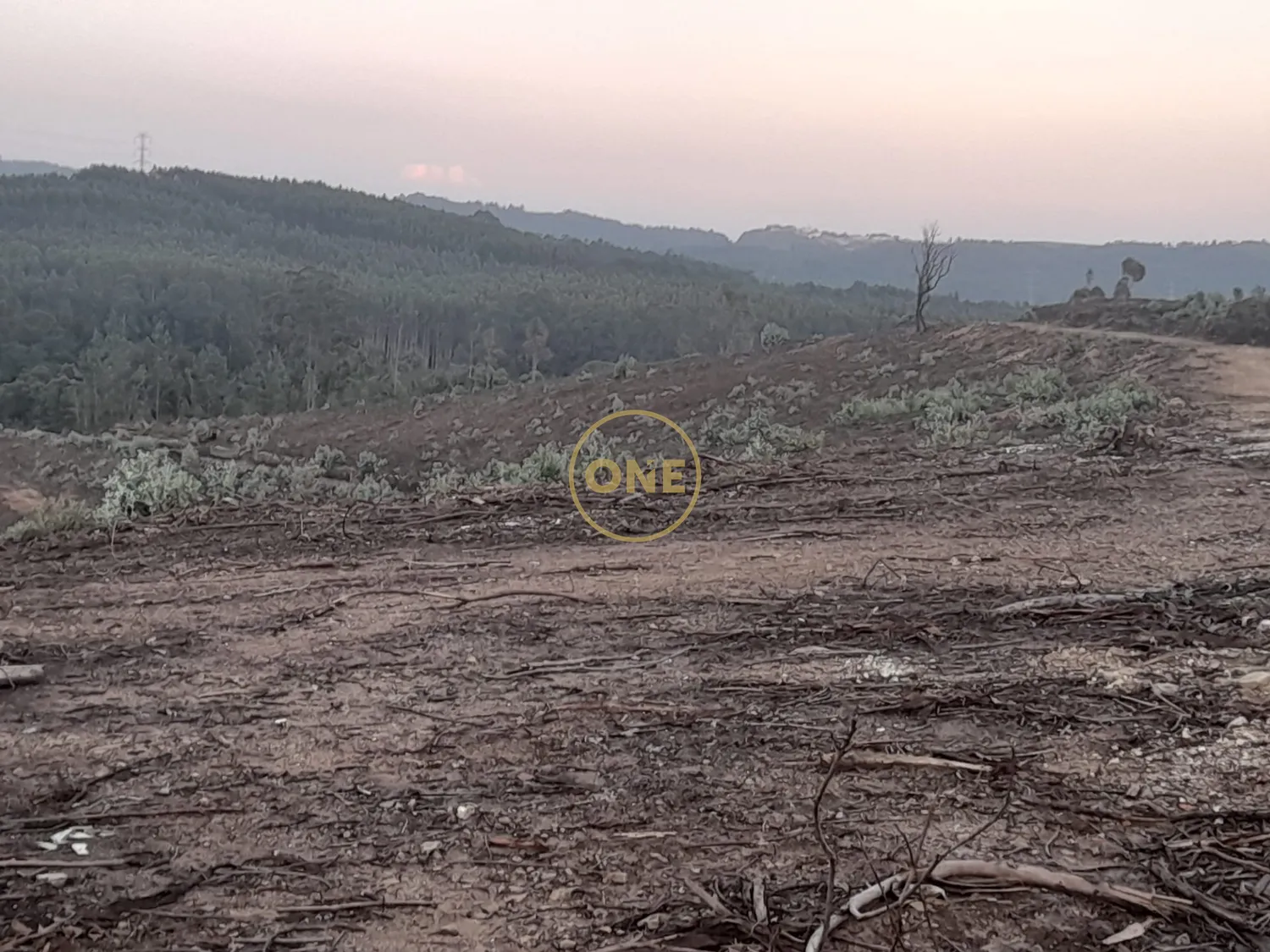 Terreno 13.000m2 em Agua Longa, Santo Tirso - 3