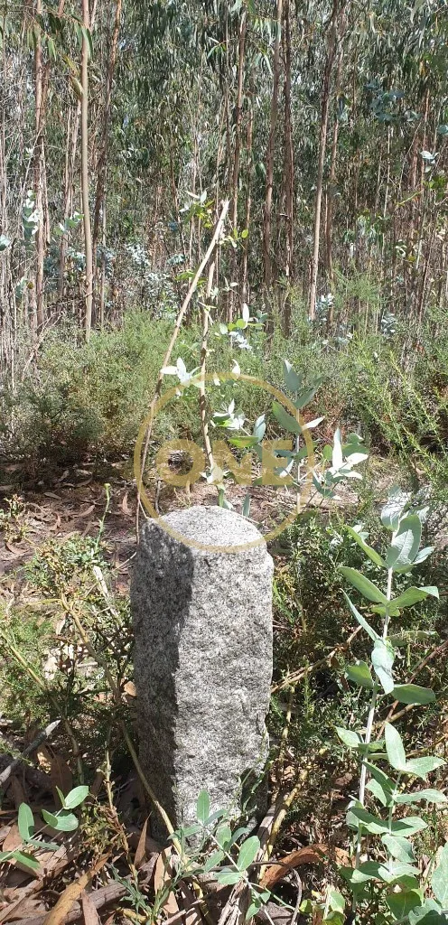 rustic land - 2