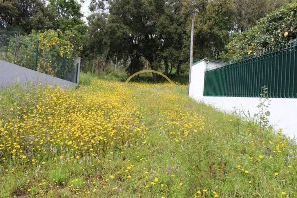 Terreno  para venda