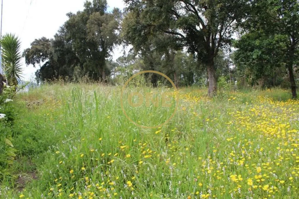Terreno  para venda - 3
