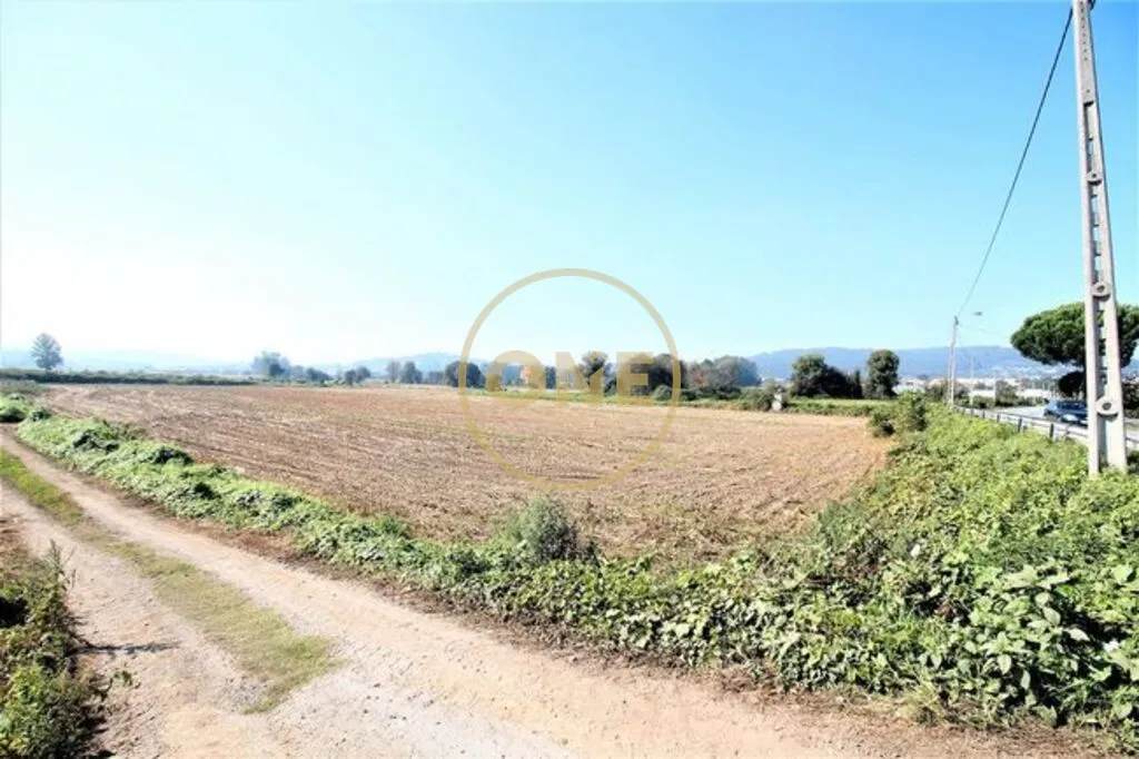 Terreno Agrícola com 18.500 m2 no Louro