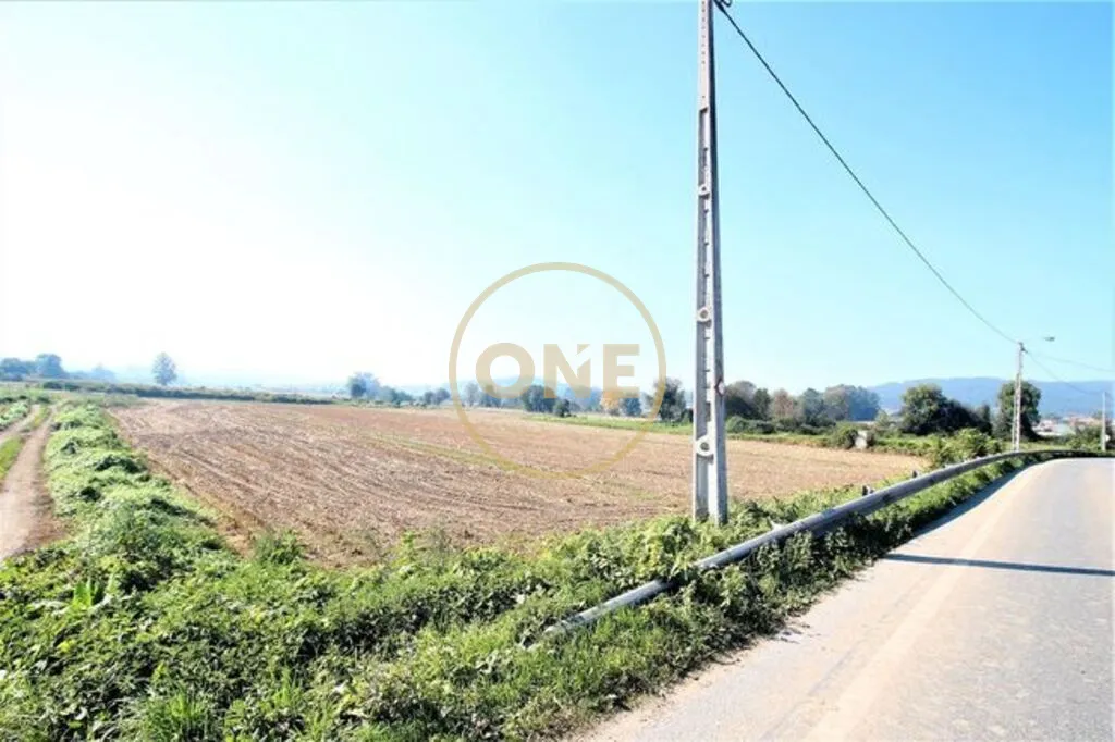 Terreno Agrícola com 18.500 m2 no Louro - 2