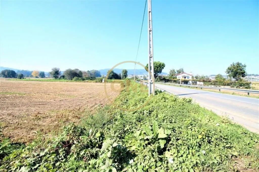 Terreno Agrícola com 18.500 m2 no Louro - 3