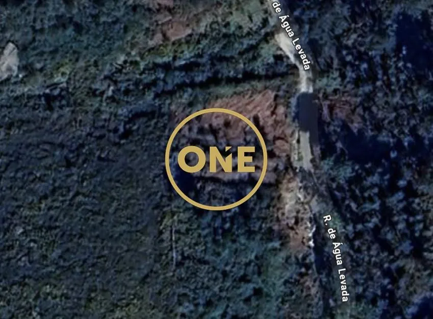 🌿 Land with Olive Trees in Cerquido – Next to Monte de Santa Justa 🌿