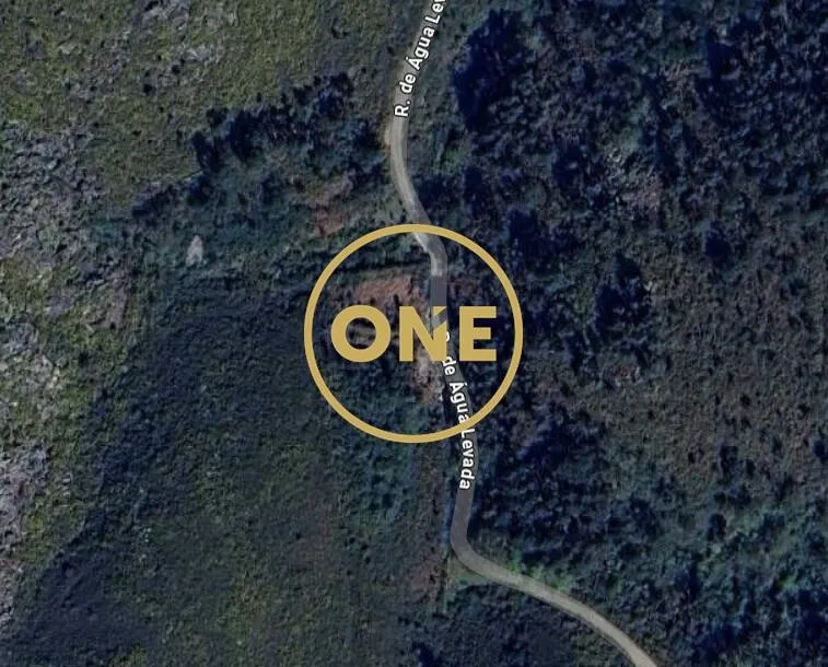 🌿 Land with Olive Trees in Cerquido – Next to Monte de Santa Justa 🌿 - 2