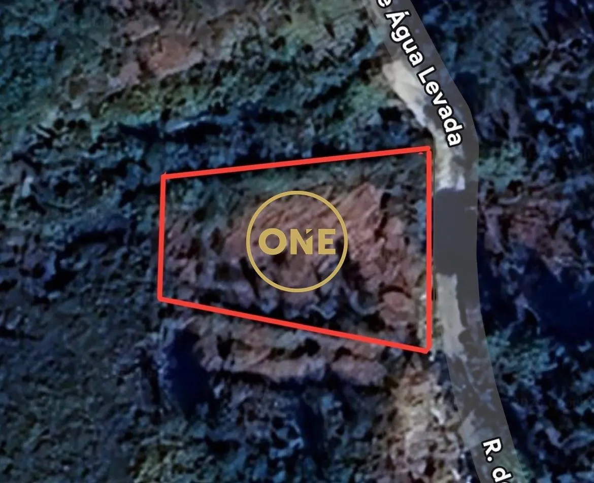 🌿 Land with Olive Trees in Cerquido – Next to Monte de Santa Justa 🌿 - 3