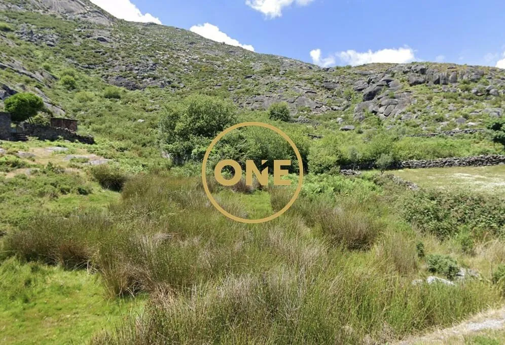 🌿 Cultivation Land in Cerquido – Estorãos 🌿
