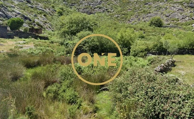 🌿 Cultivation Land in Cerquido – Estorãos 🌿 - 2