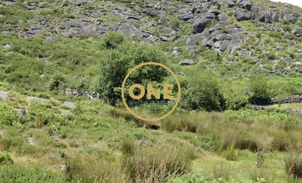 🌿 Cultivation Land in Cerquido – Estorãos 🌿 - 3