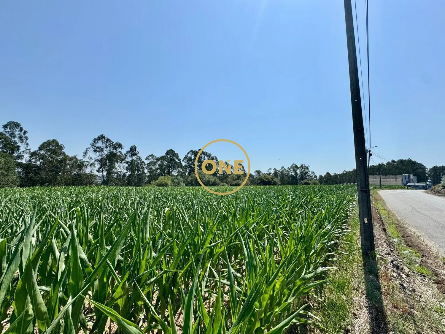 Terreno rústico com viabilidade de construção em Covelas, Trofa - 3