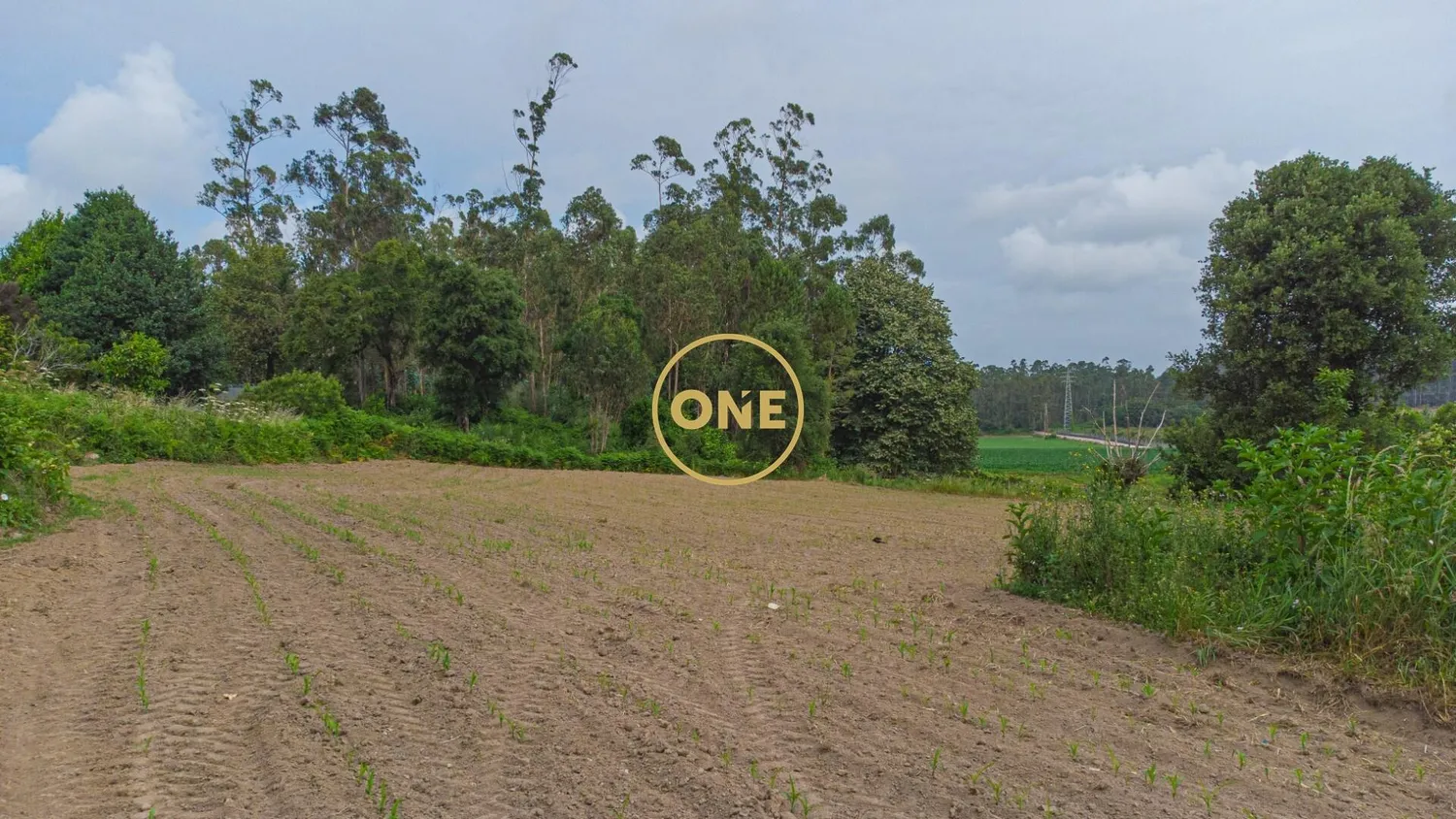 🌳 Land with Building Potential – Mosteiro, Vila do Conde 🏡