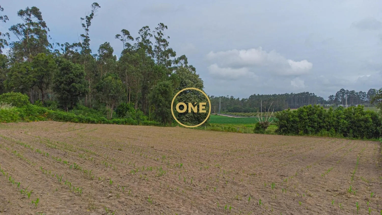 🌳 Land with Building Potential – Mosteiro, Vila do Conde 🏡 - 2