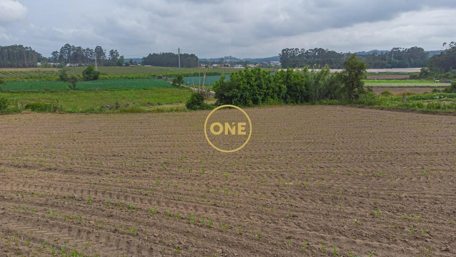 🌳 Land with Building Potential – Mosteiro, Vila do Conde 🏡 - 3