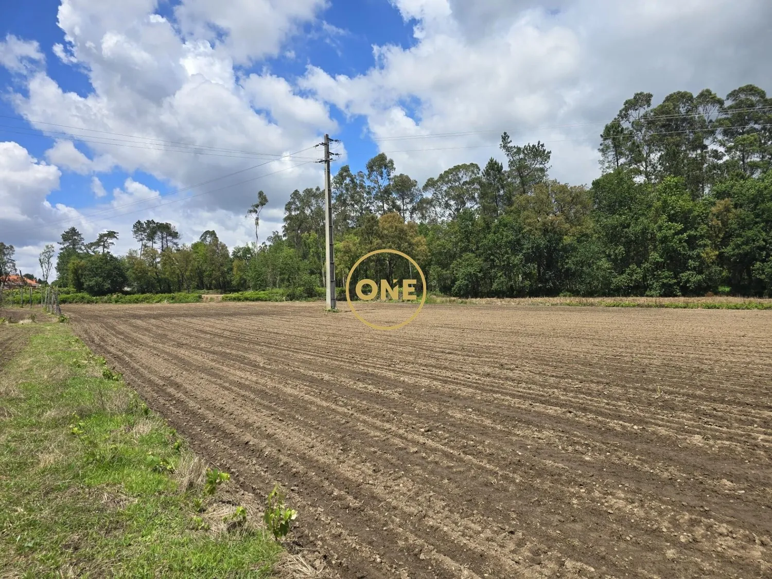 Terreno Agrícola em Lamelas - Santo Tirso