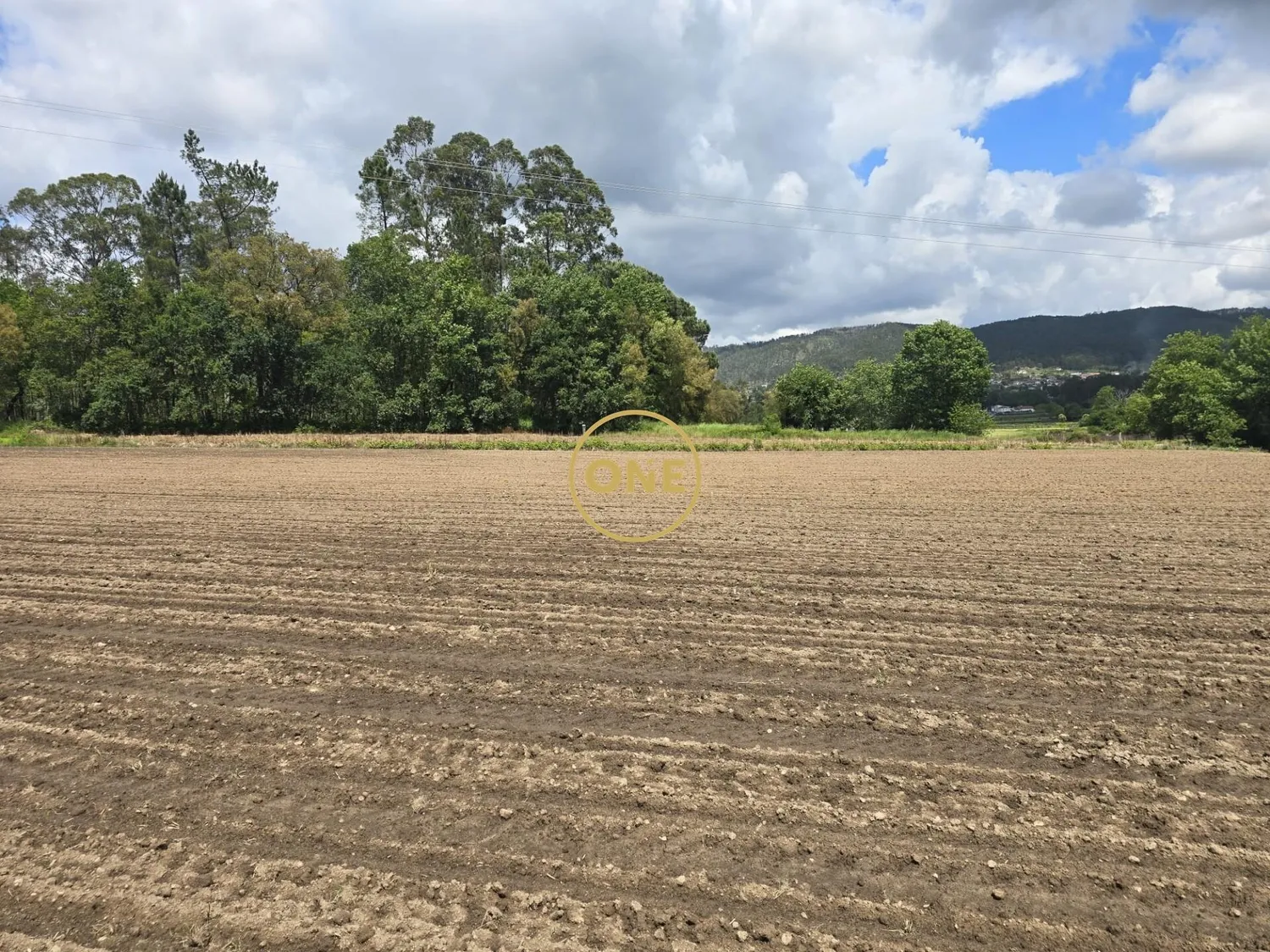Terreno Agrícola em Lamelas - Santo Tirso - 3