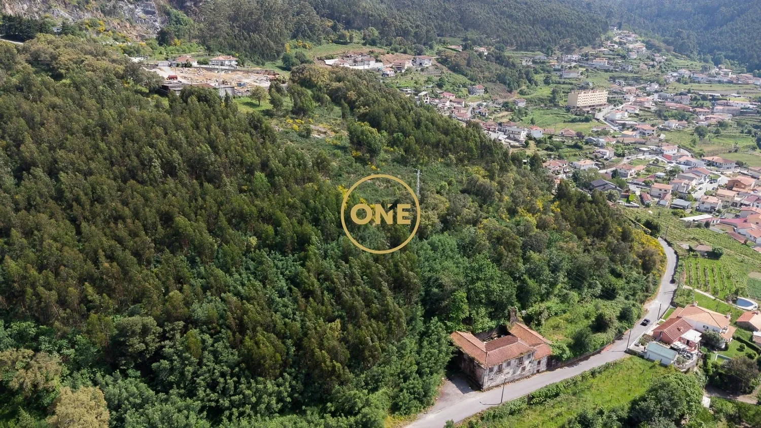 Terreno Rústico com 49.430,21 m2 em S.Tomé Negrelos - 2