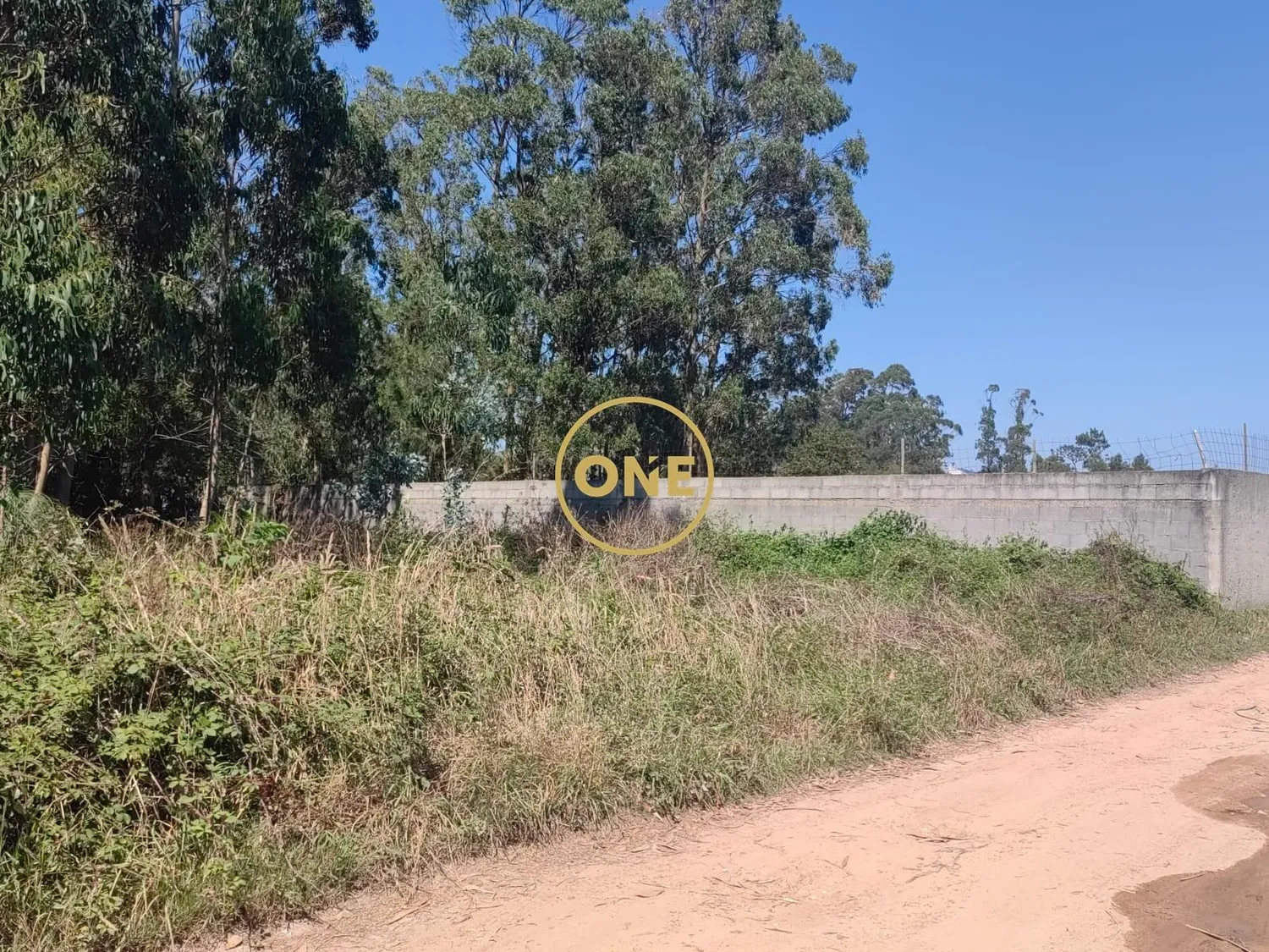 Rustic land/bouça in Terroso, Póvoa de Varzim
