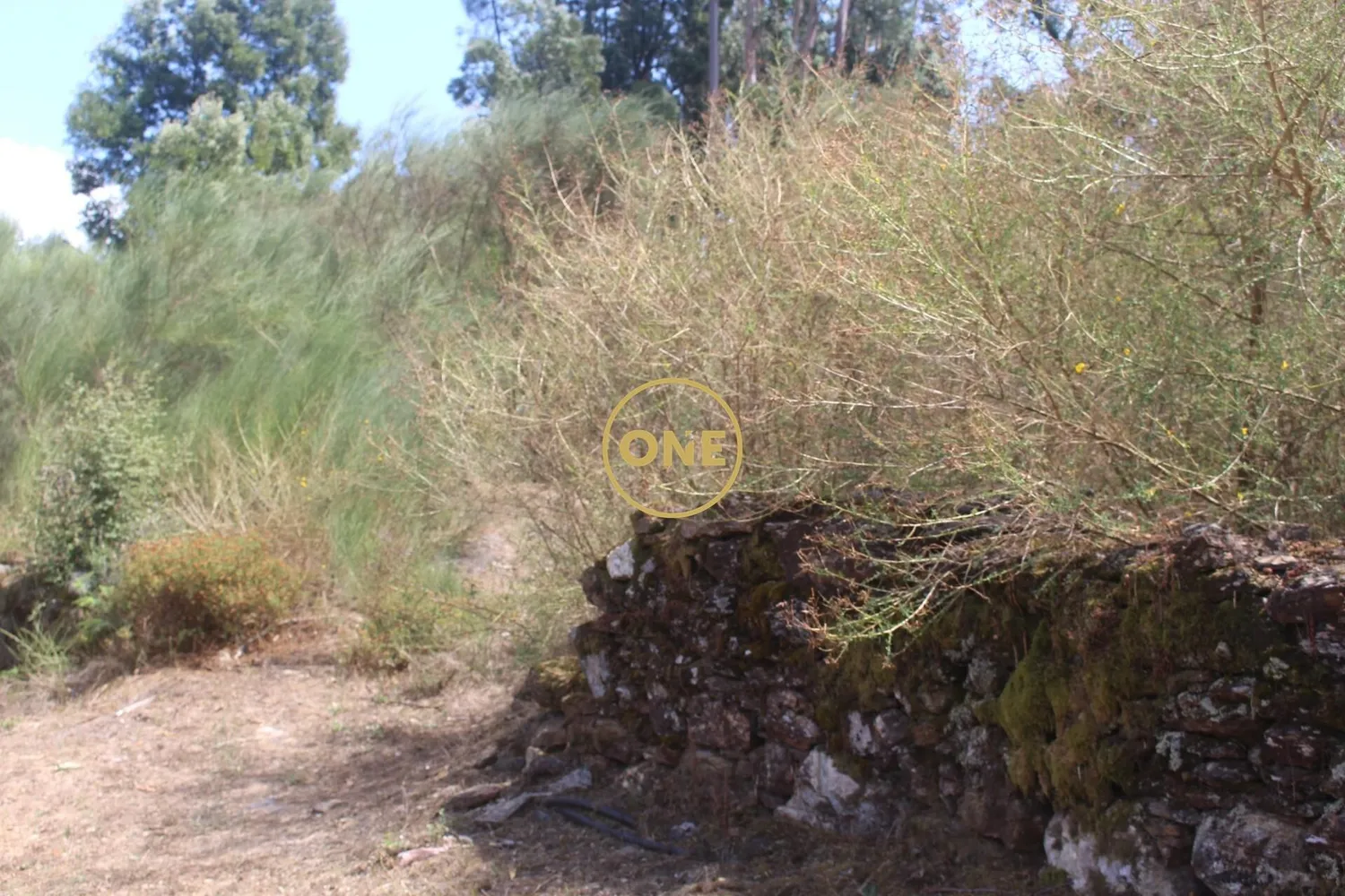Refuge in Ponte de Lima - 2
