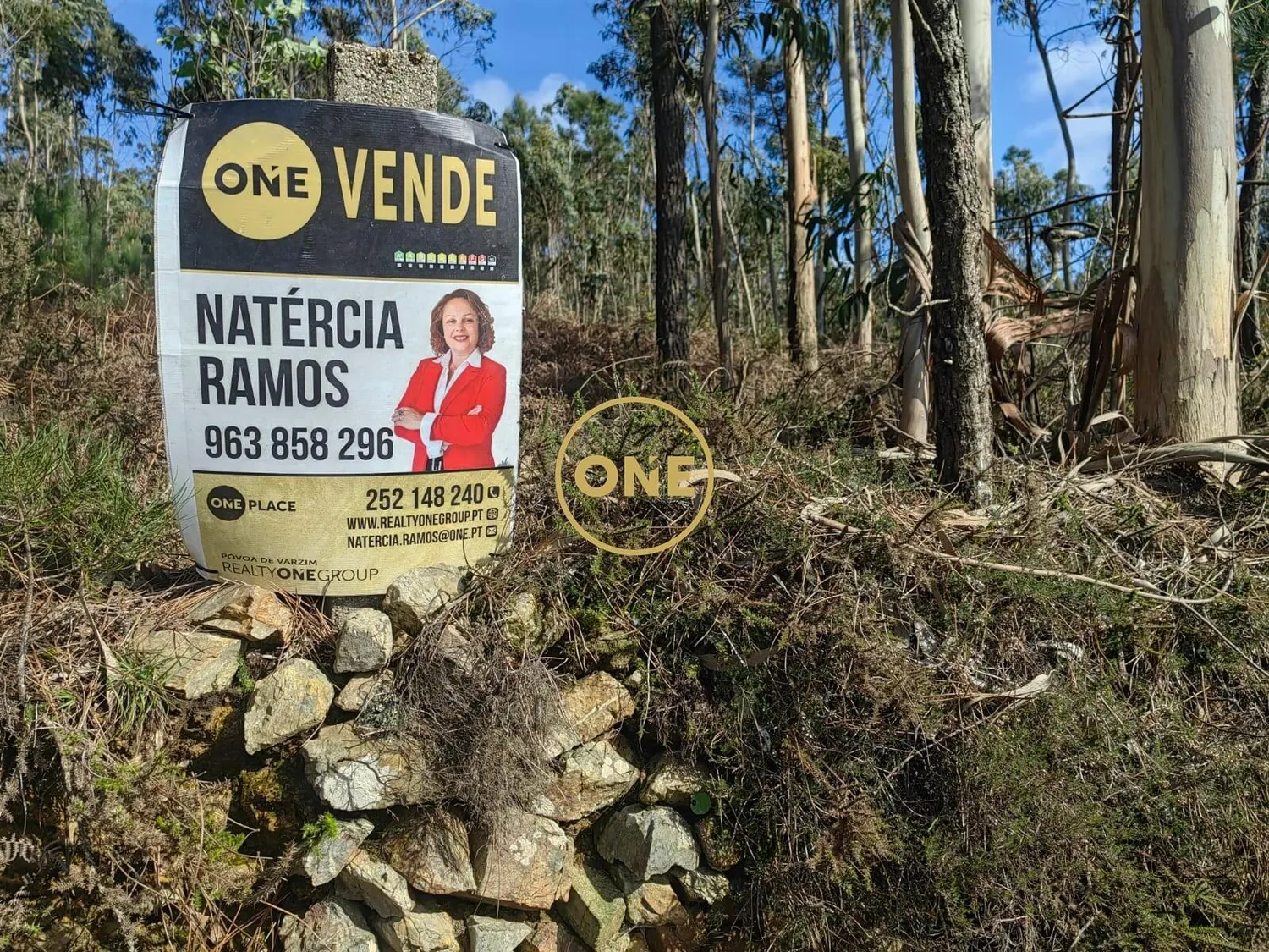 Bouça bem situada em Laundos