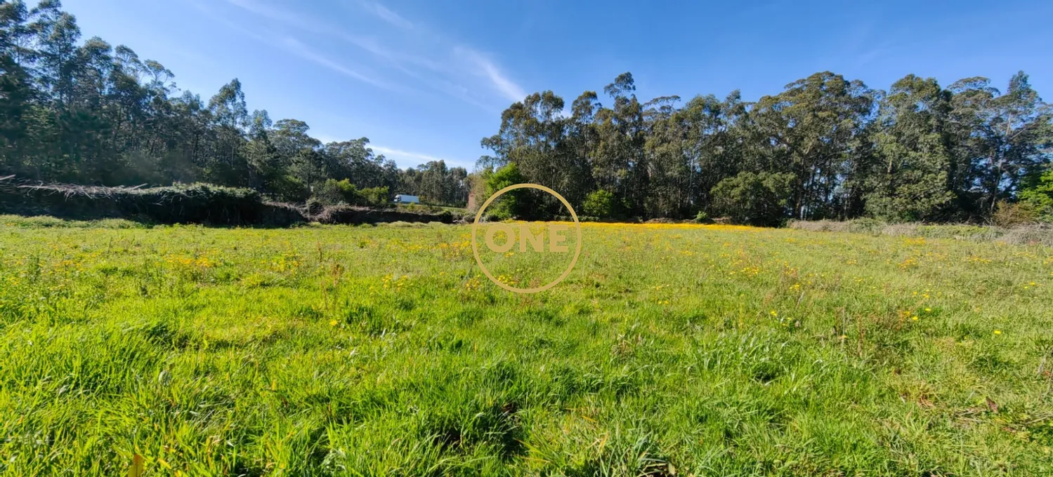 Terreno agricola em Rio tinto lugar tranquilo todo murado . - 3
