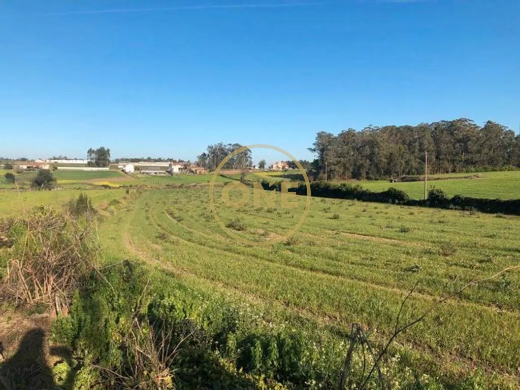 Terreno  para venda - 3
