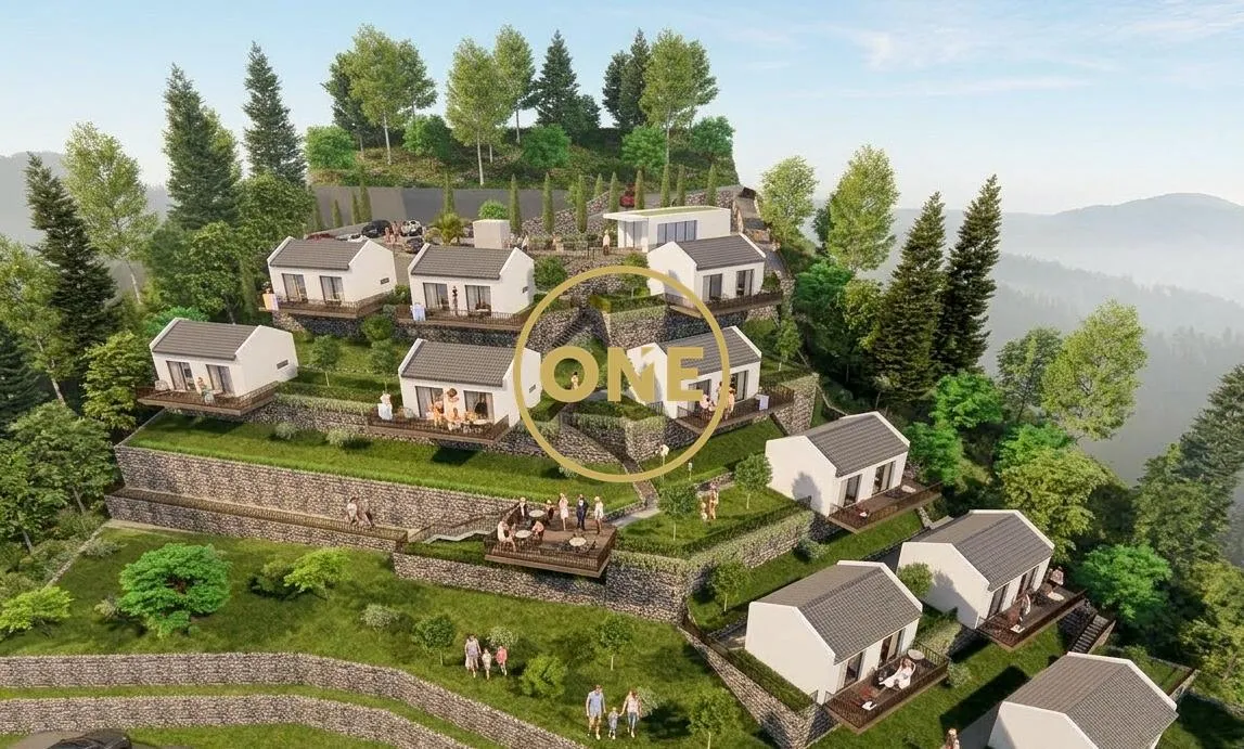 Land - 2