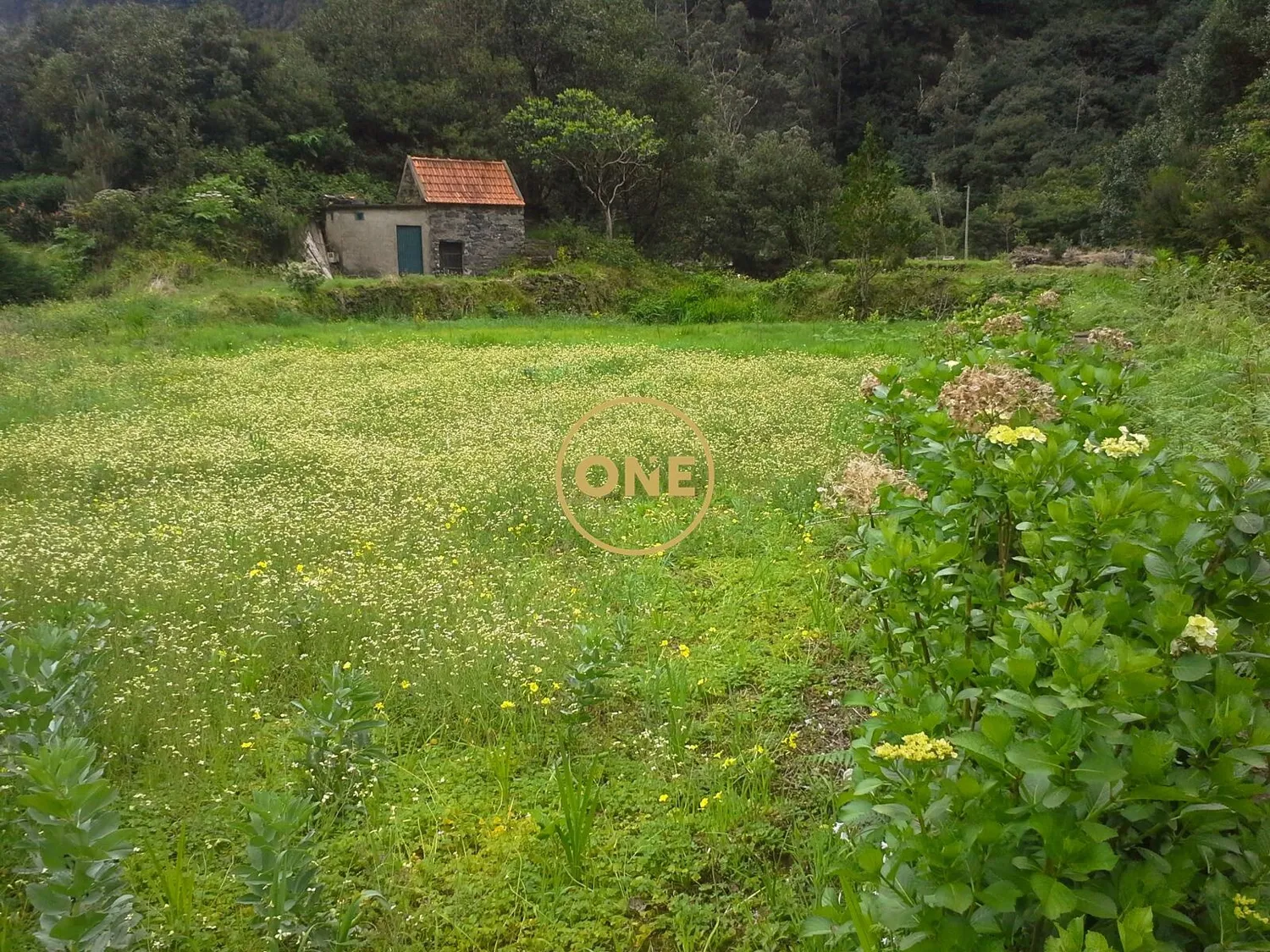 Land - 2