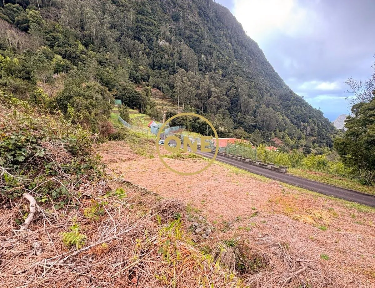 Land area 1289m² - 2