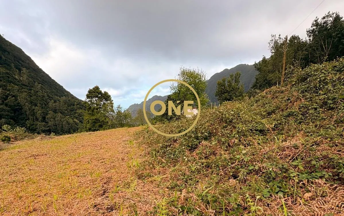 Land area 1289m² - 3