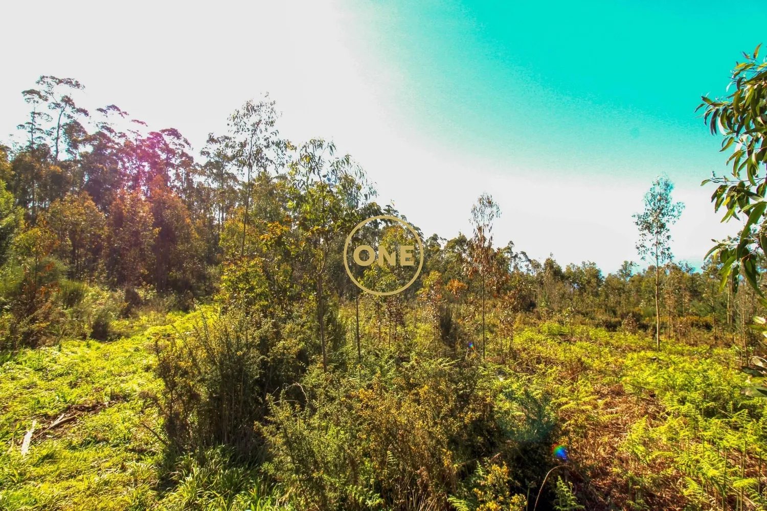 Land - 3