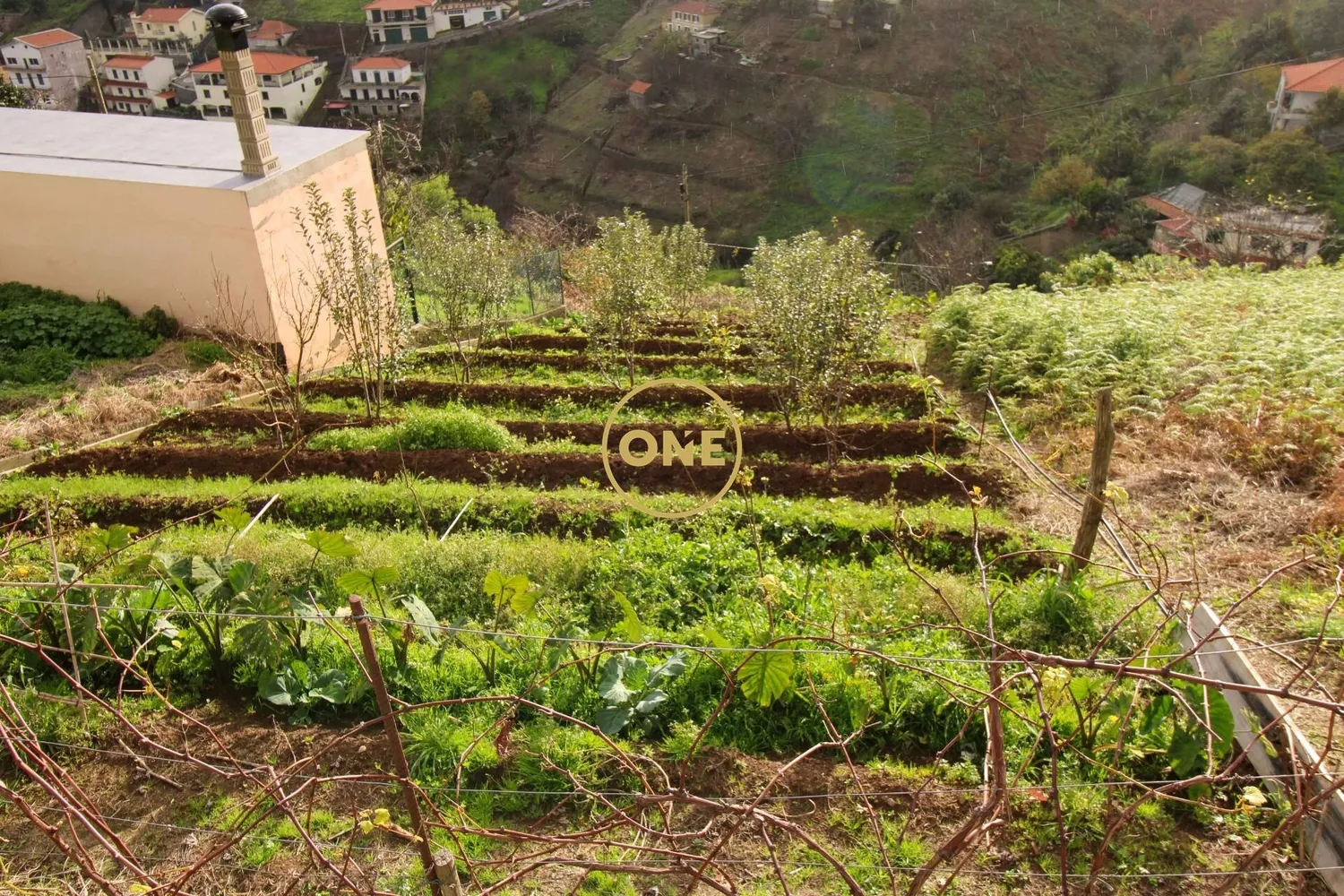 Terreno 453m2 - 2