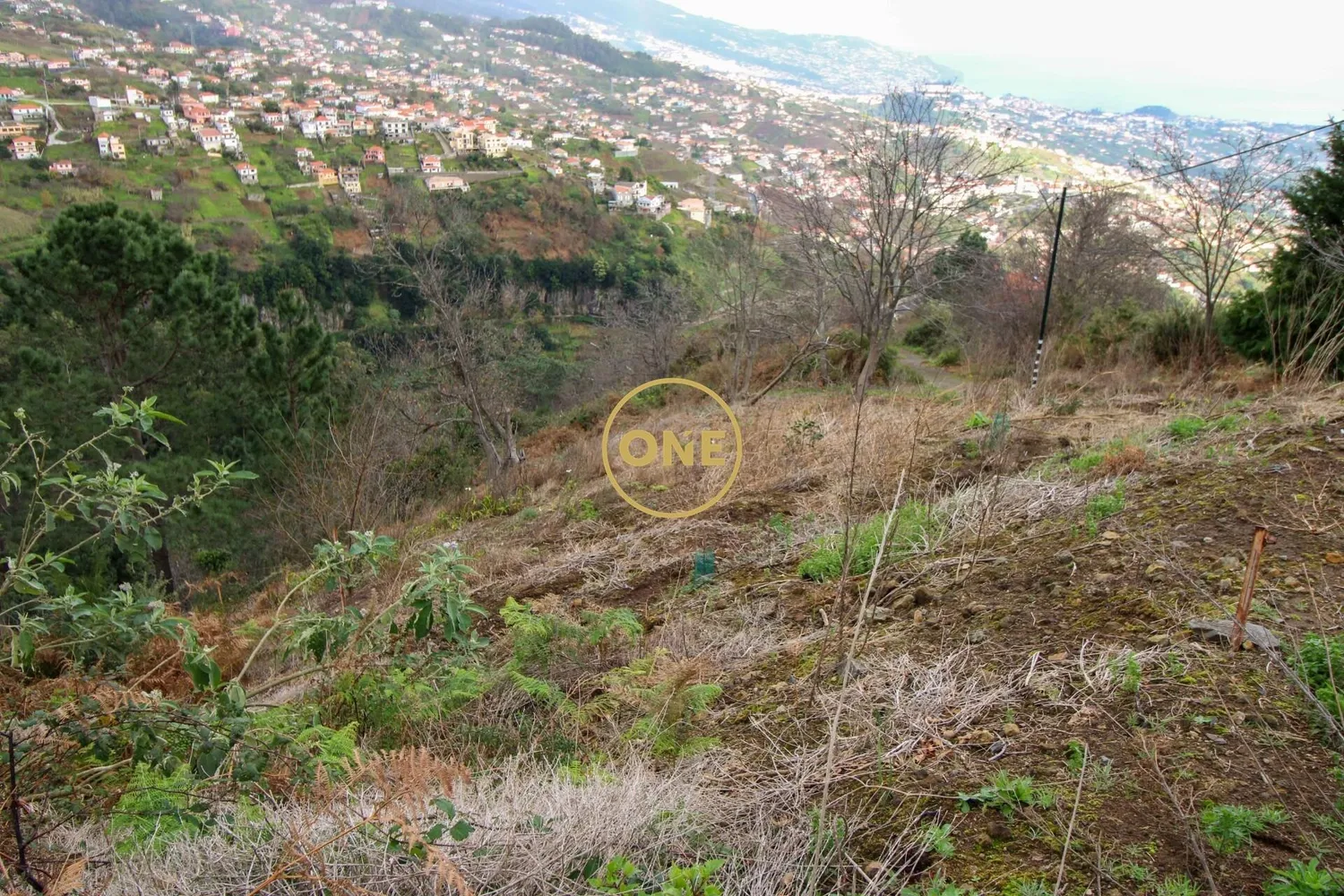 Land area 600m2