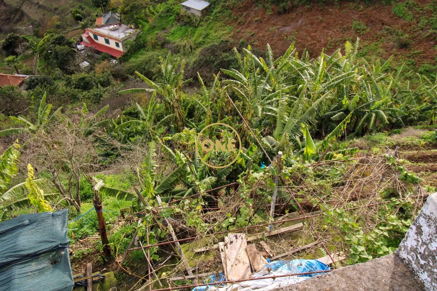 Terreno 1500m2 - 2