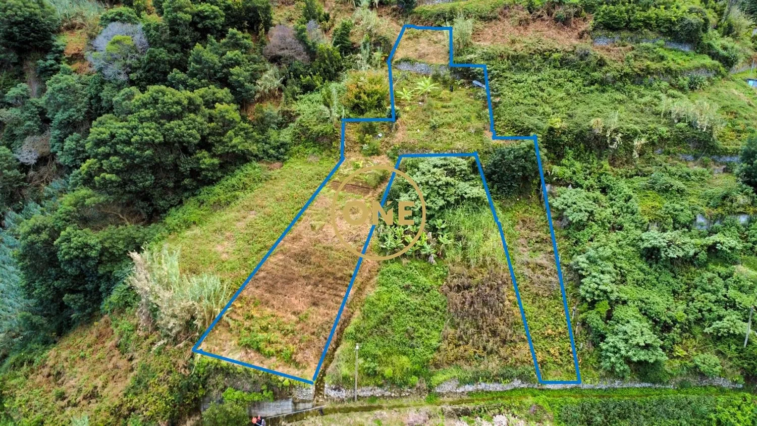 Land