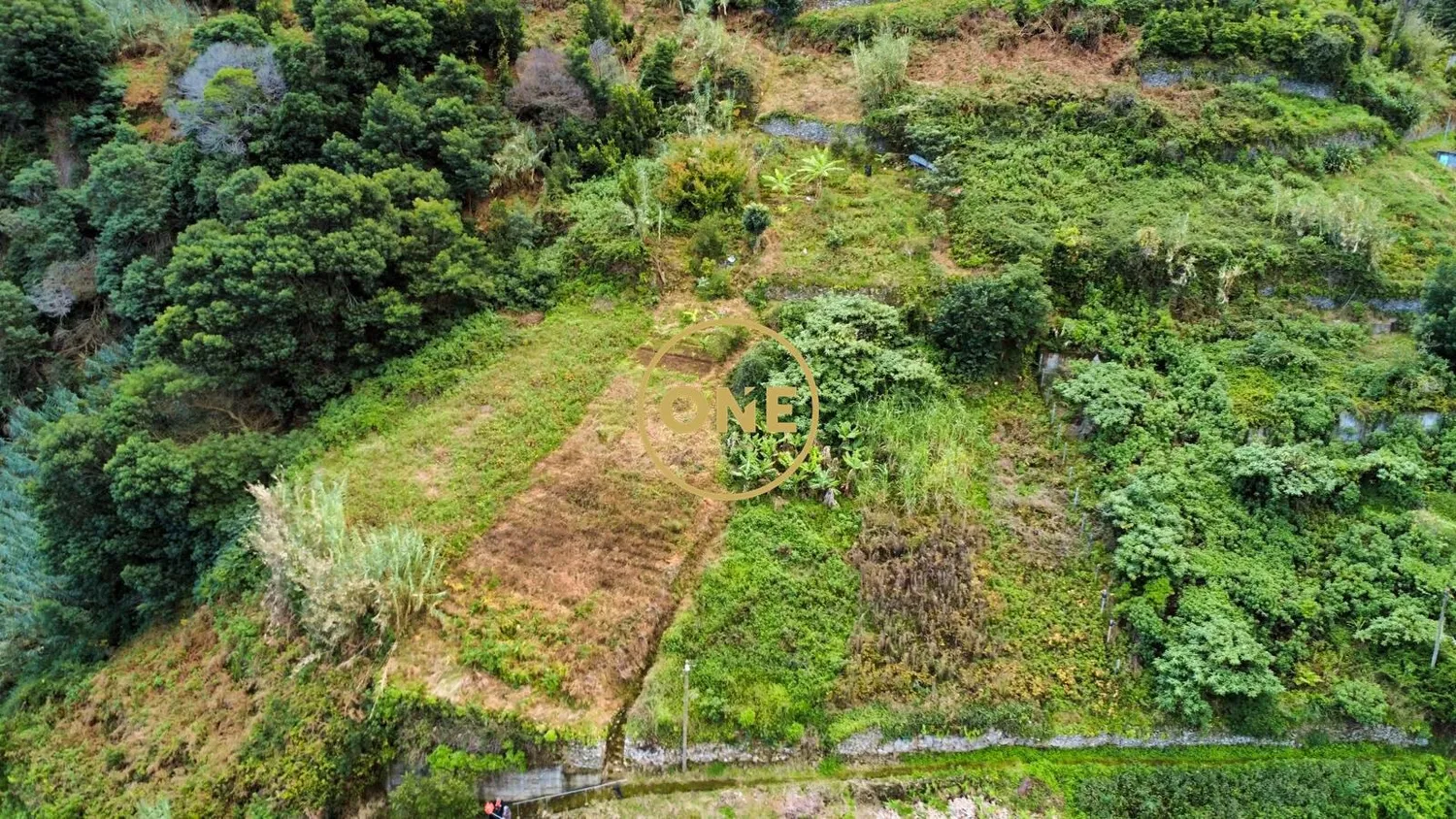 Land - 2